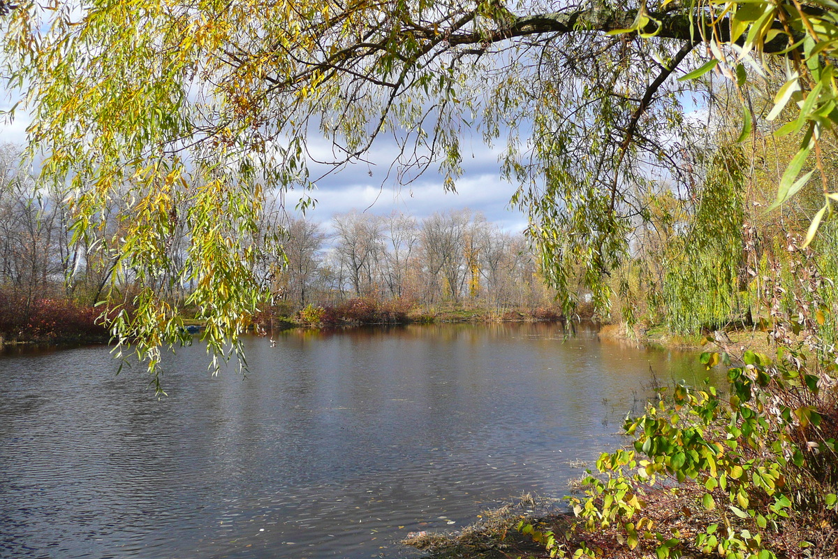 Picture Ukraine Kiev Hydropark 2007-11 25 - Weather Hydropark