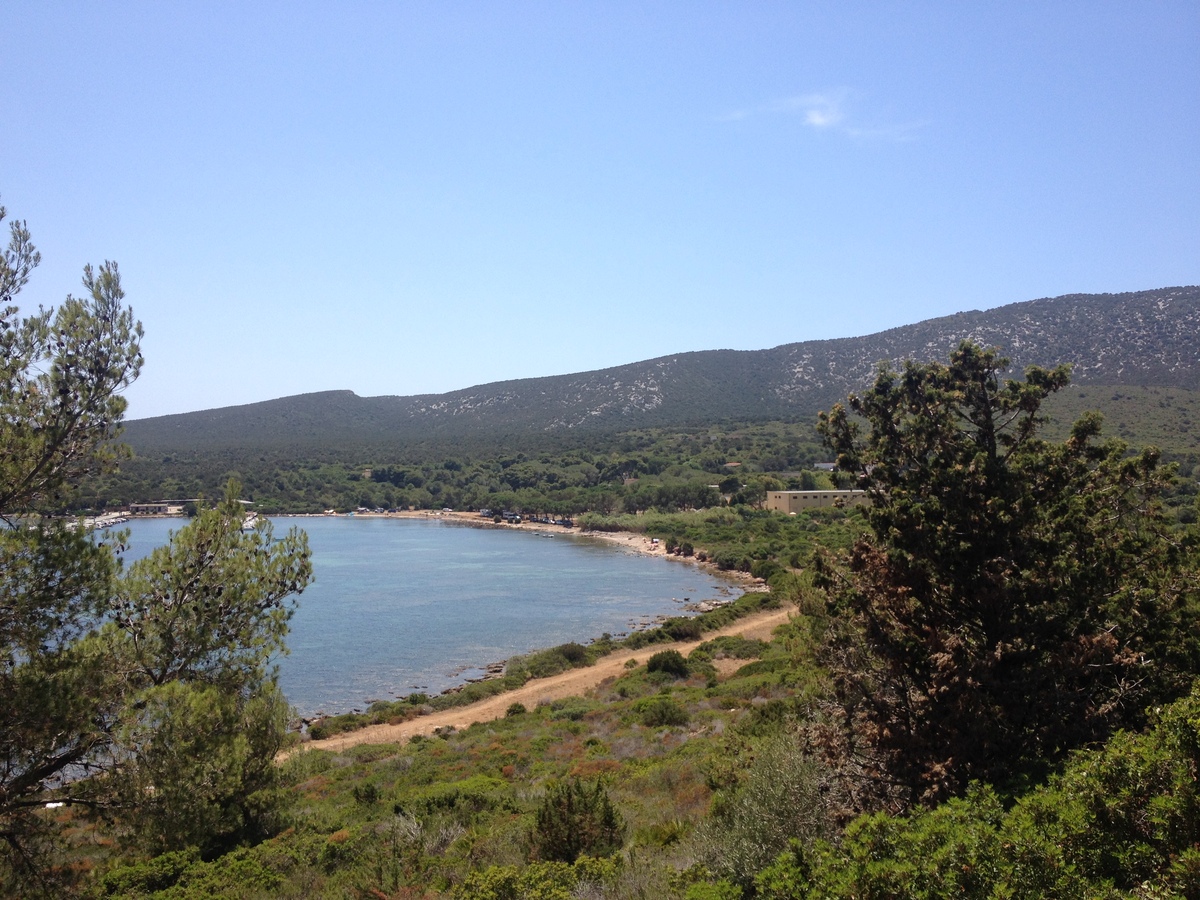 Picture Italy Sardinia Porto Conte Regional Natural Park 2015-06 33 - To see Porto Conte Regional Natural Park