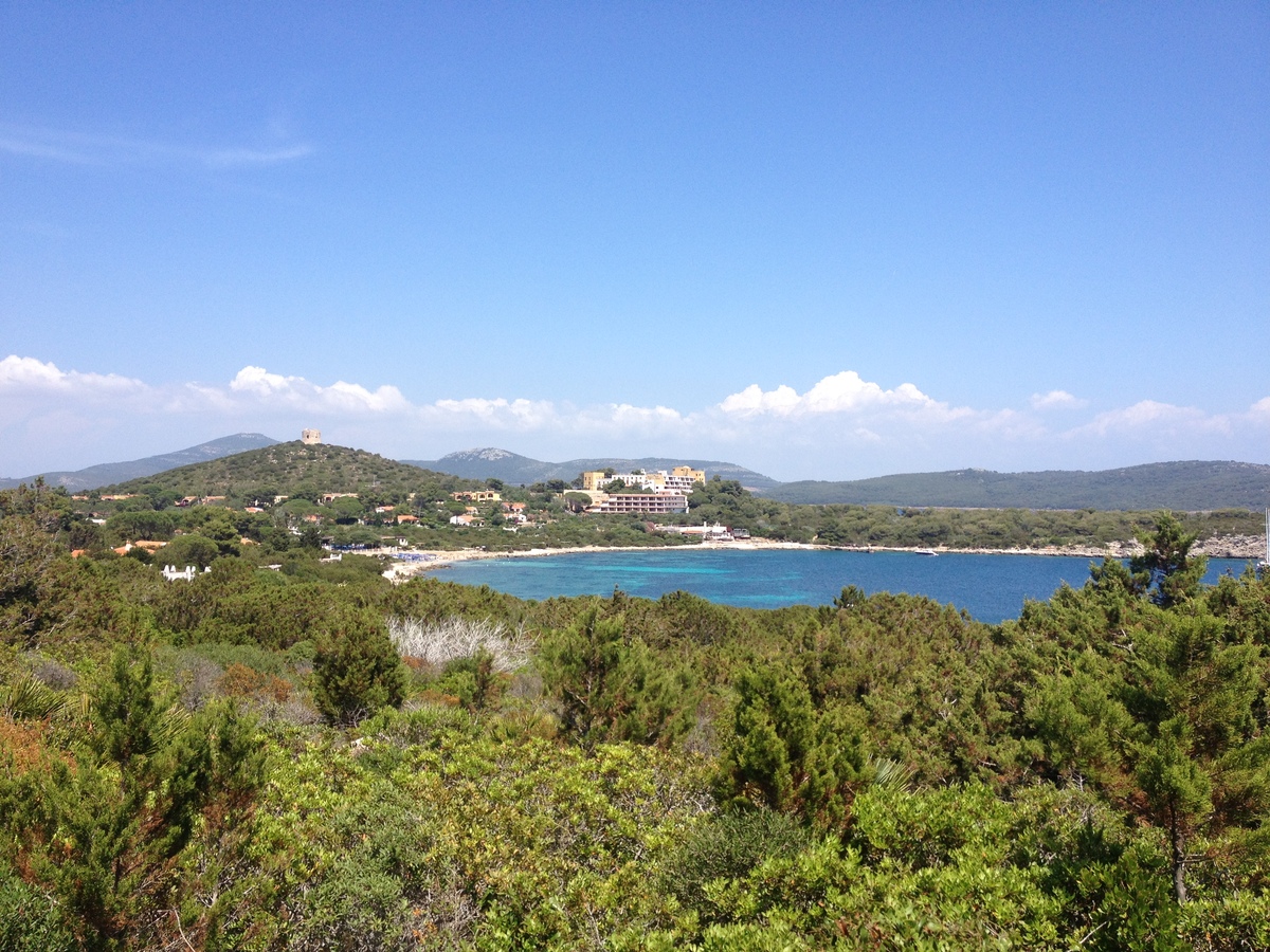 Picture Italy Sardinia Porto Conte Regional Natural Park 2015-06 32 - Waterfall Porto Conte Regional Natural Park