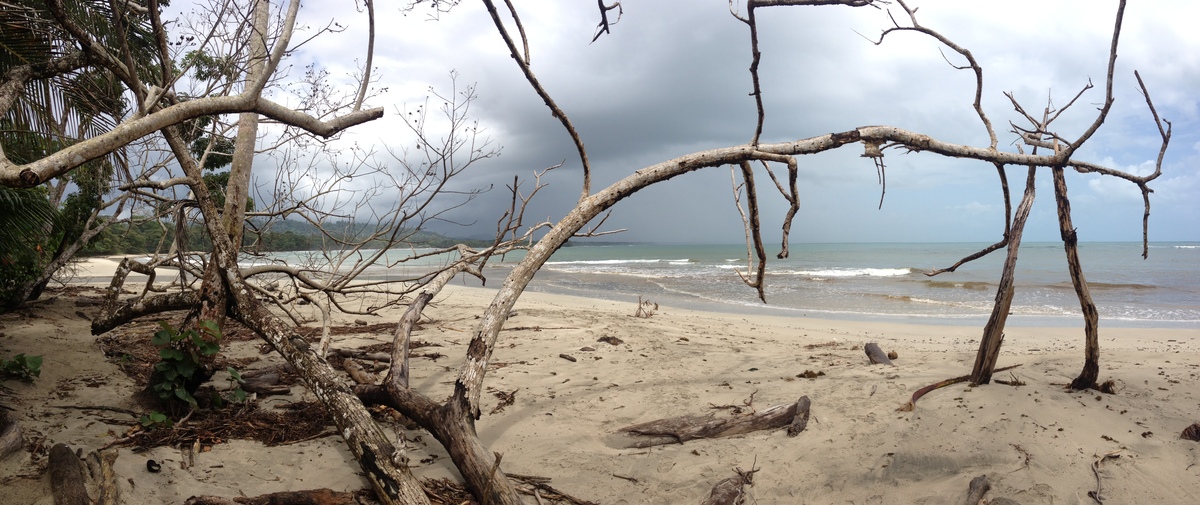 Picture Costa Rica Cahuita 2015-03 99 - Monument Cahuita