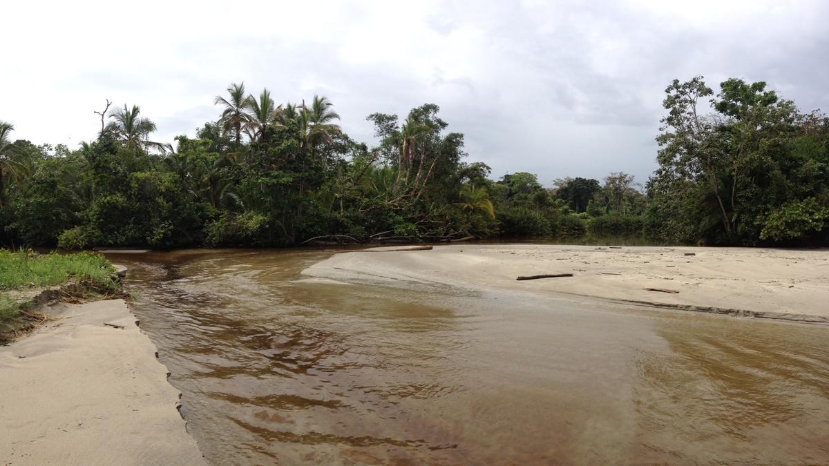 Picture Costa Rica Cahuita 2015-03 136 - Cost Cahuita