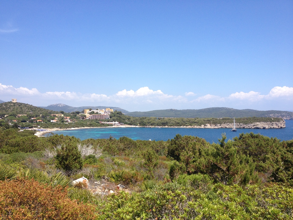 Picture Italy Sardinia Porto Conte Regional Natural Park 2015-06 16 - Restaurants Porto Conte Regional Natural Park