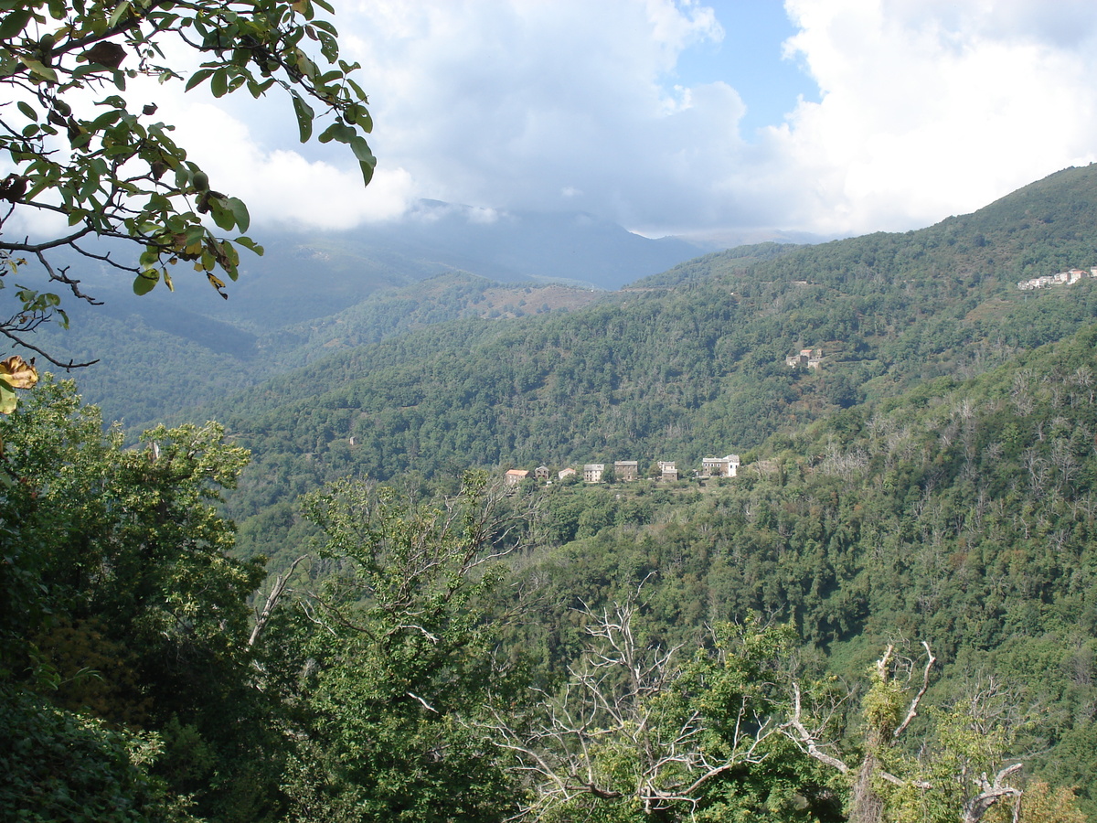 Picture France Corsica Valle d'alesani 2006-09 52 - Lands Valle d'alesani