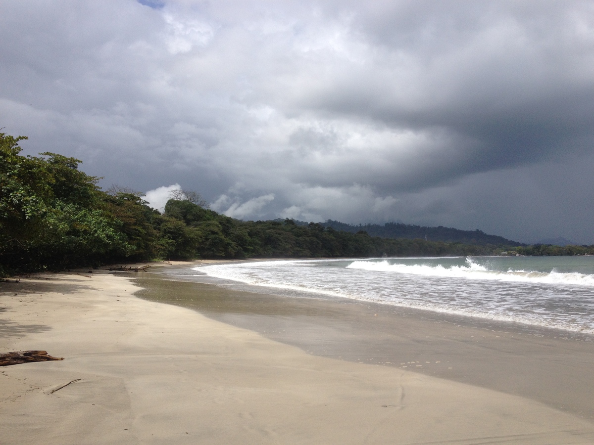 Picture Costa Rica 2015-03 33 - Price Costa Rica