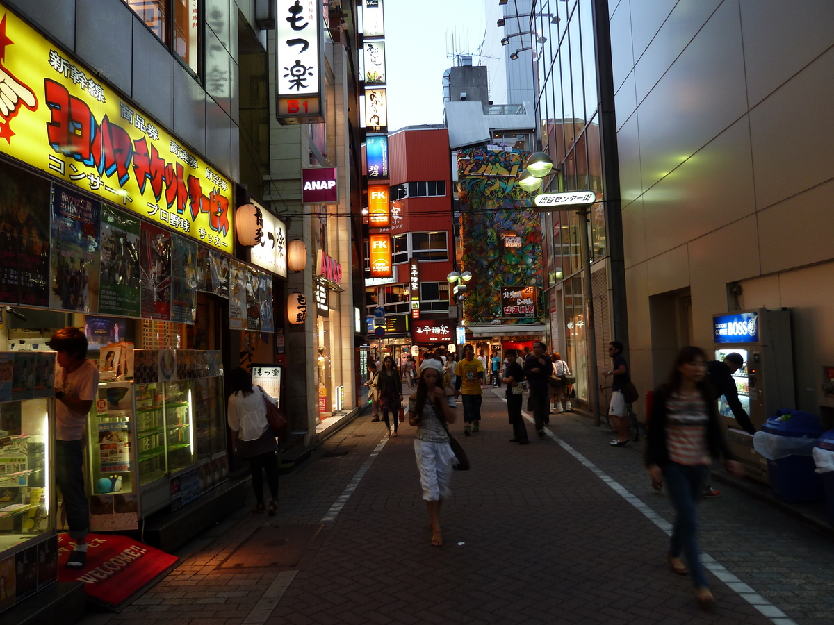 Picture Japan Tokyo Shibuya 2010-06 32 - Lakes Shibuya