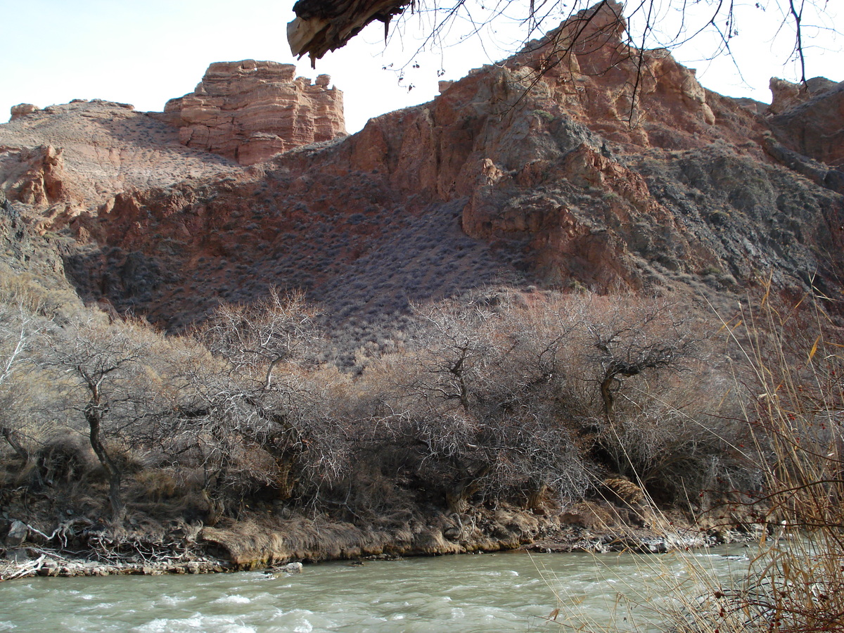 Picture Kazakhstan Charyn Canyon 2007-03 50 - Land Charyn Canyon