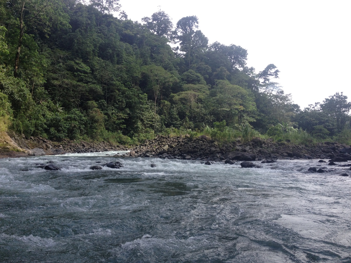 Picture Costa Rica Pacuare River 2015-03 118 - Waterfalls Pacuare River