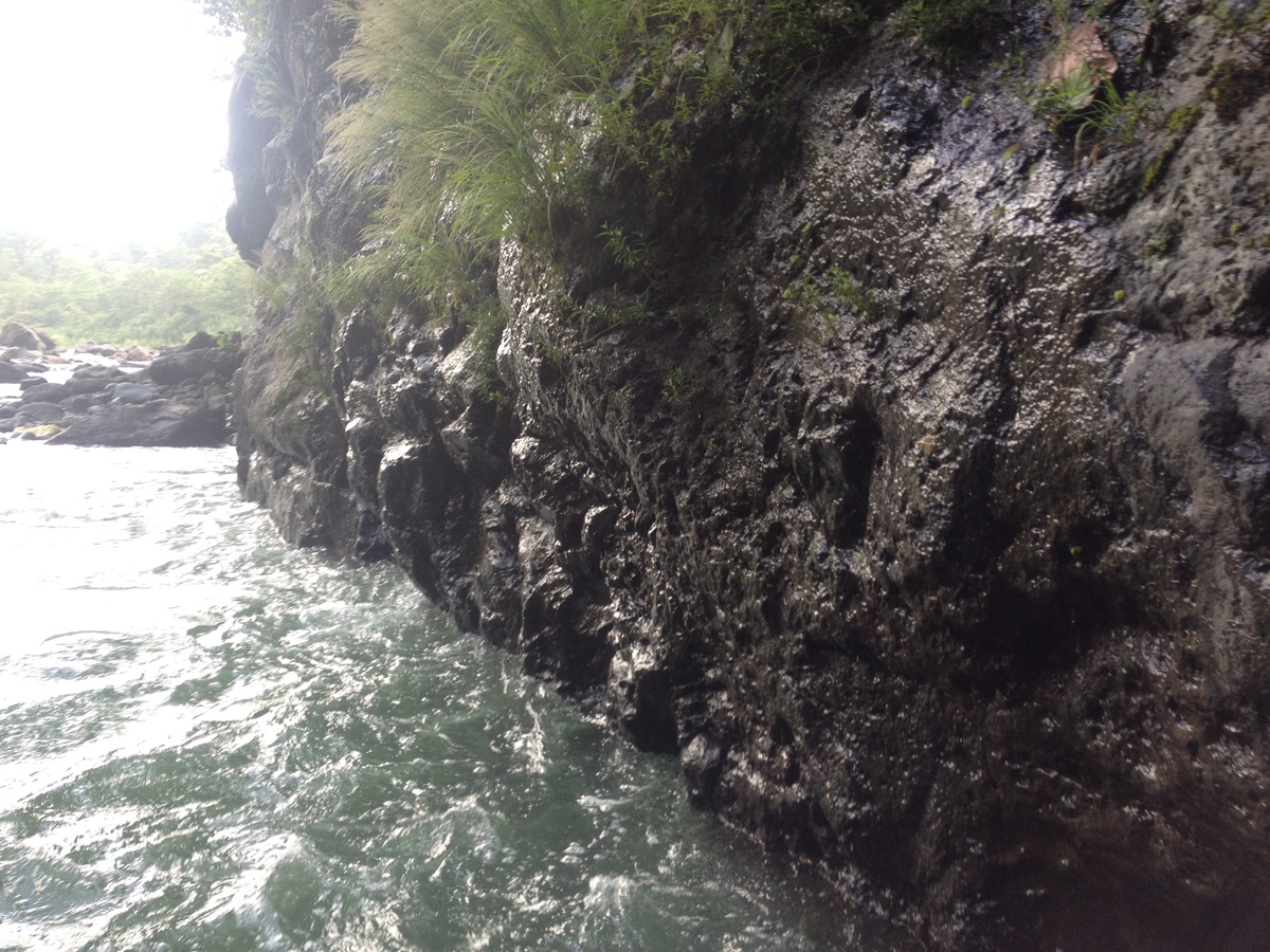 Picture Costa Rica Pacuare River 2015-03 100 - Hotel Pool Pacuare River