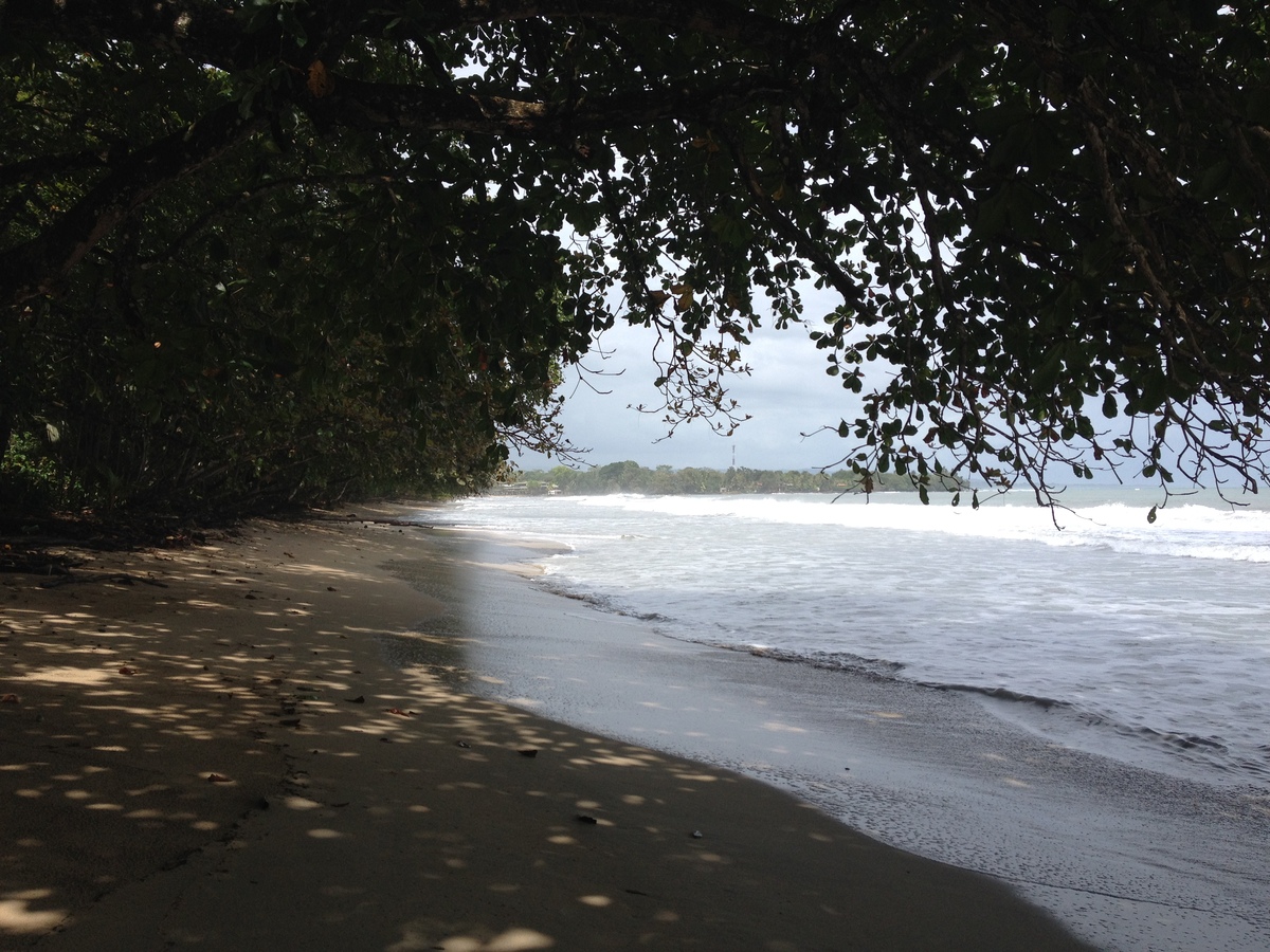 Picture Costa Rica Cahuita 2015-03 75 - Sauna Cahuita