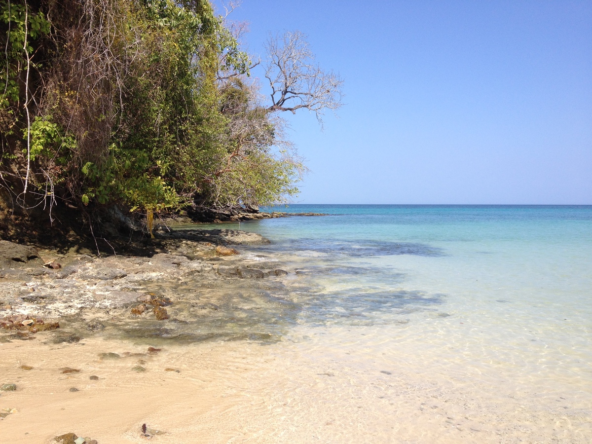 Picture Panama Contadora Island 2015-03 156 - City View Contadora Island