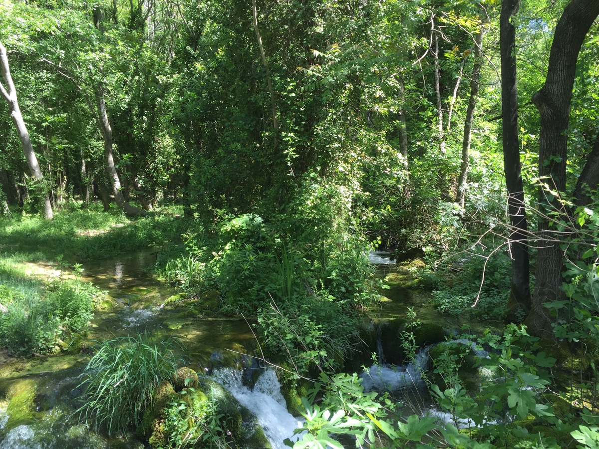 Picture Croatia Krka National Park 2016-04 99 - Winter Krka National Park