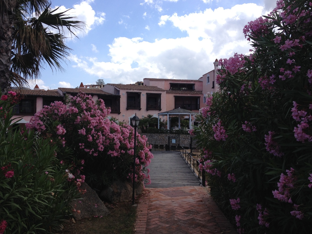 Picture Italy Sardinia Porto Cervo 2015-06 53 - Spring Porto Cervo