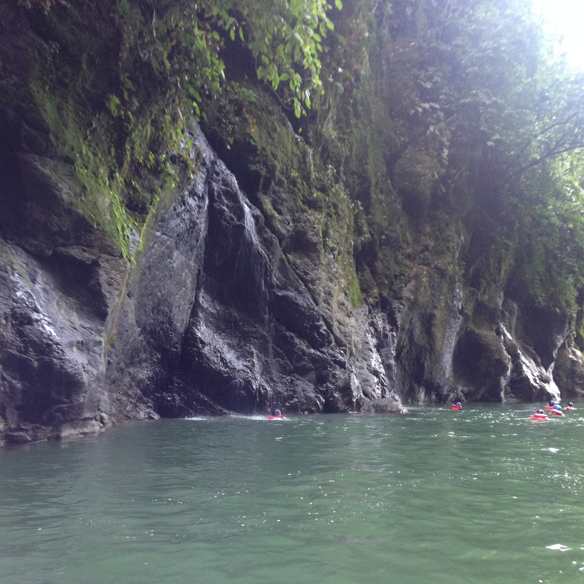 Picture Costa Rica Pacuare River 2015-03 189 - Hotel Pool Pacuare River