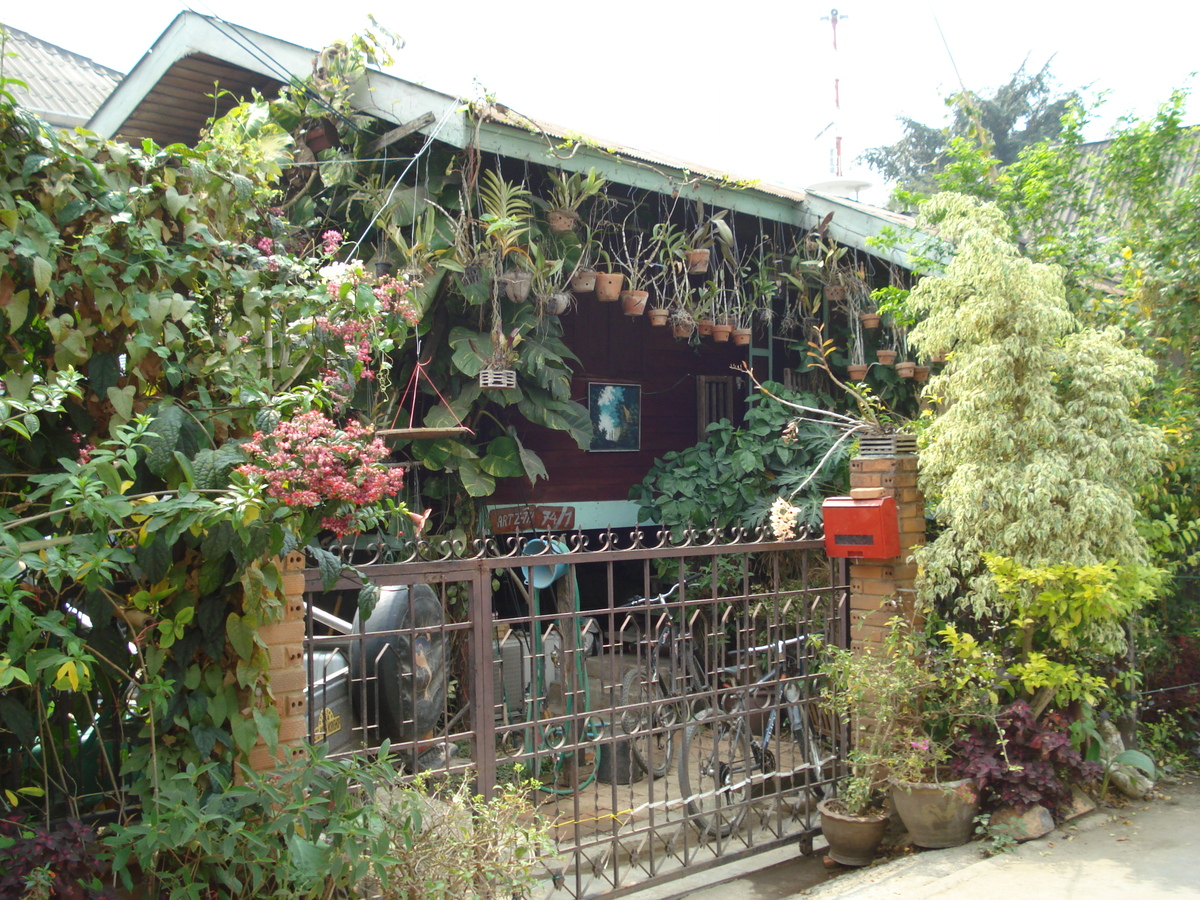 Picture Thailand Pai 2007-02 27 - Restaurant Pai