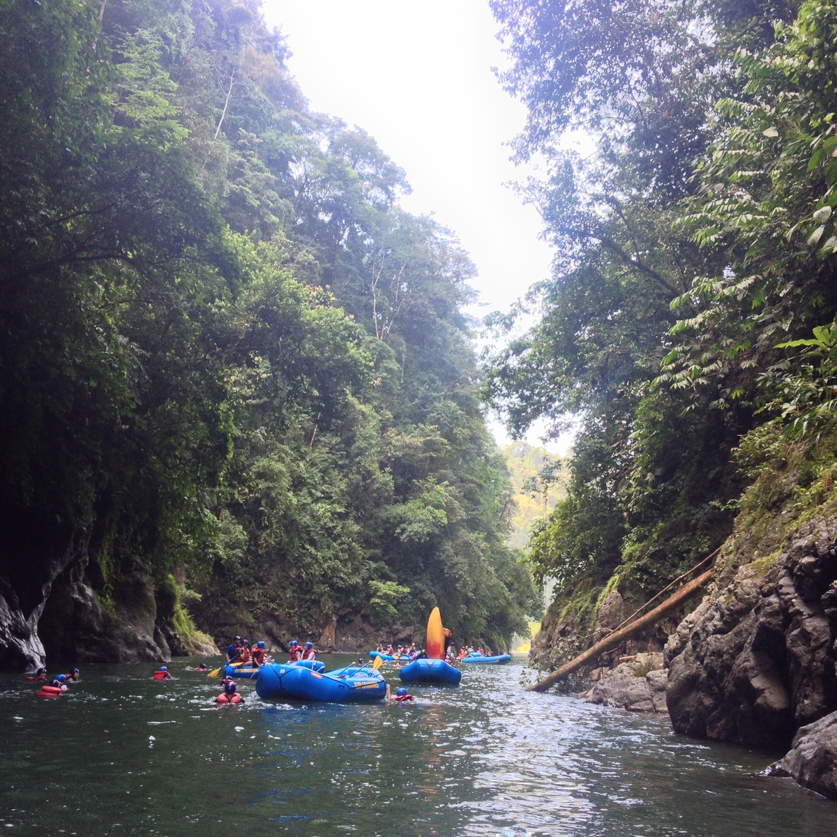 Picture Costa Rica Pacuare River 2015-03 83 - Sunset Pacuare River