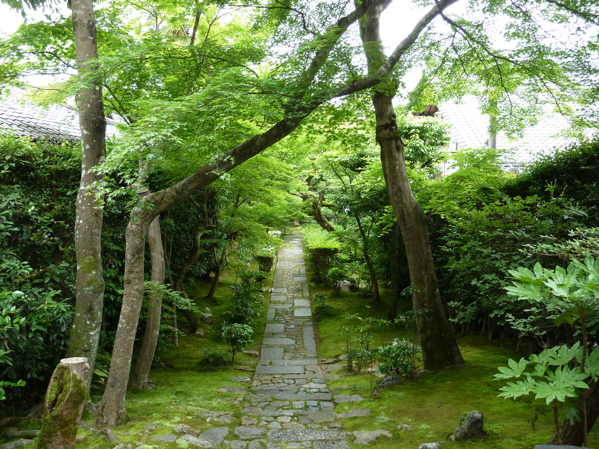 Picture Japan Kyoto Ryoanji Temple 2010-06 63 - City Ryoanji Temple