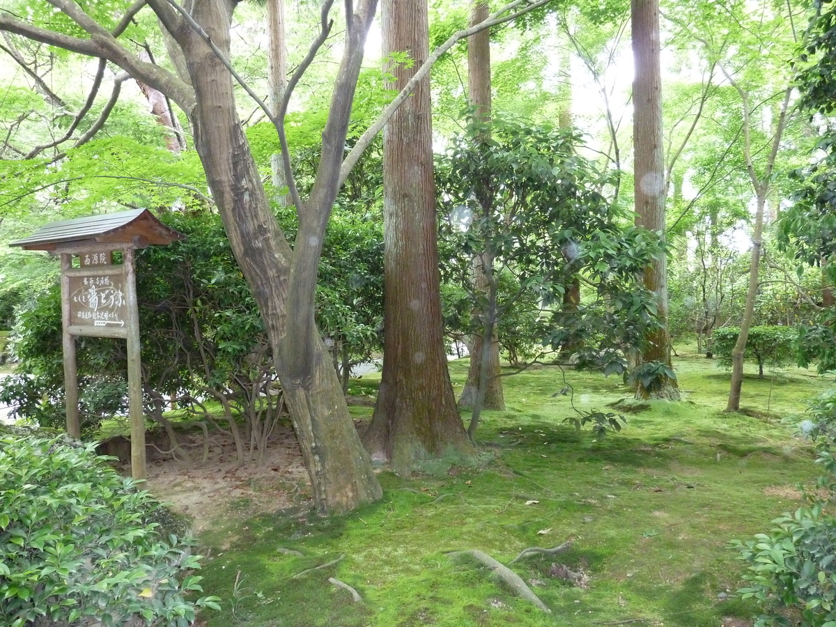 Picture Japan Kyoto Ryoanji Temple 2010-06 41 - Spring Ryoanji Temple