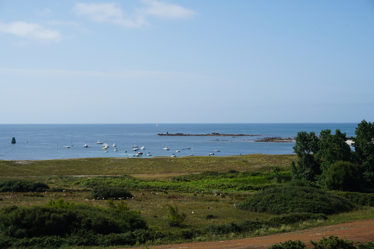 Picture France Hoedic 2016-08 100 - Lands Hoedic