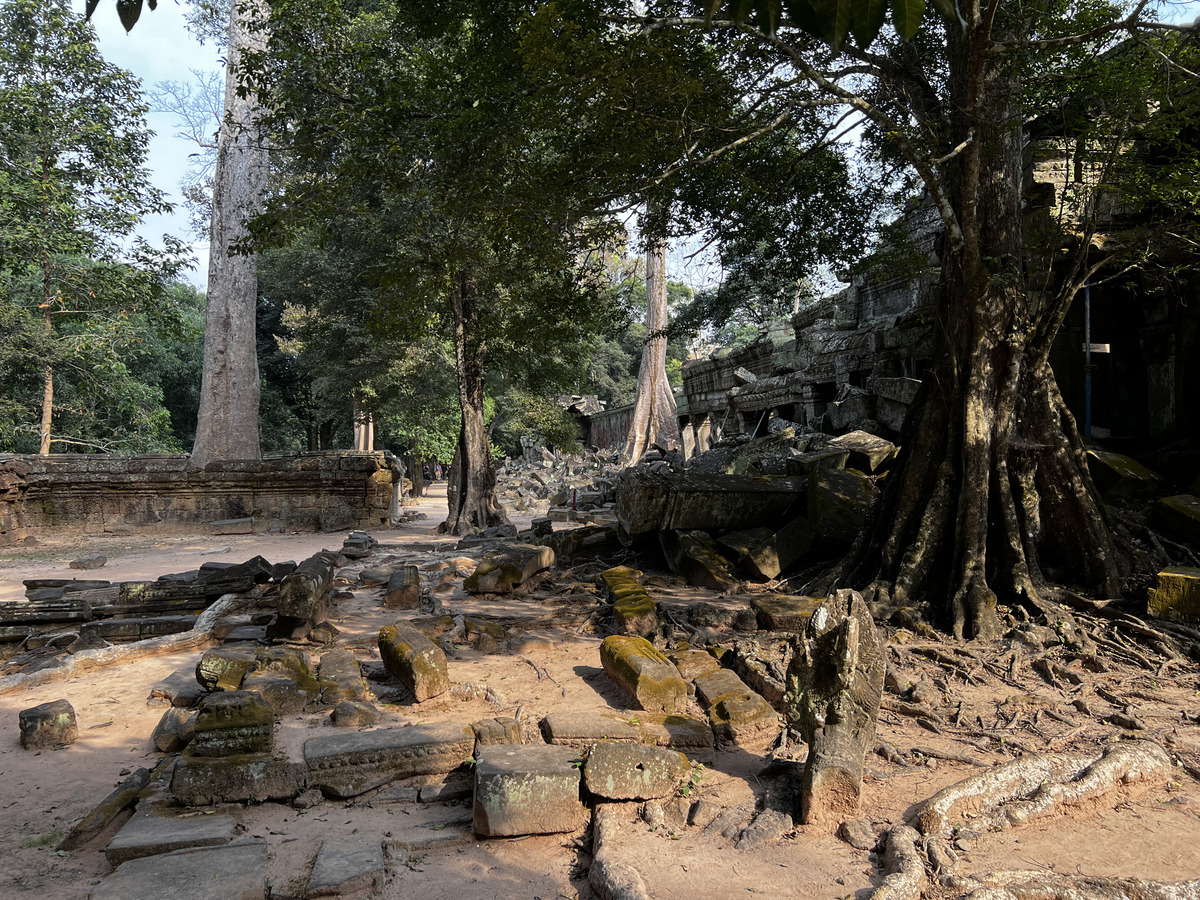 Picture Cambodia Siem Reap Ta Prohm 2023-01 122 - To see Ta Prohm