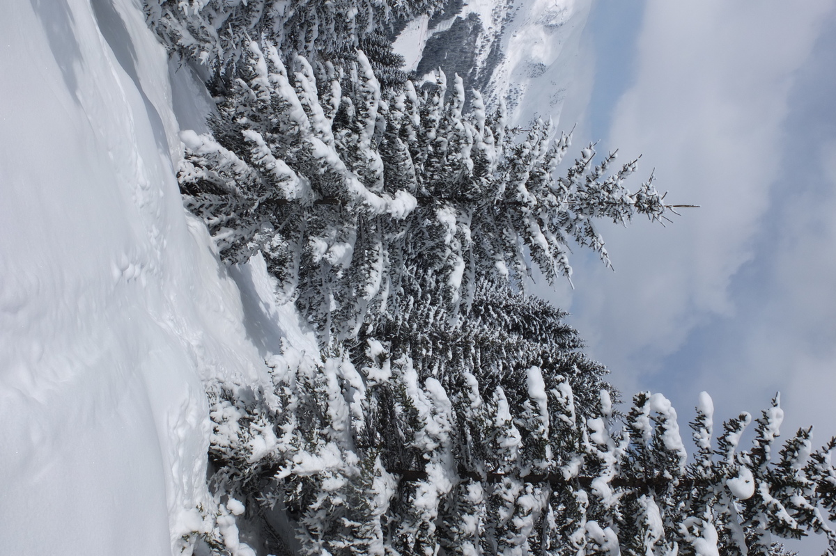 Picture France Les 3 Vallees 2013-03 308 - Land Les 3 Vallees