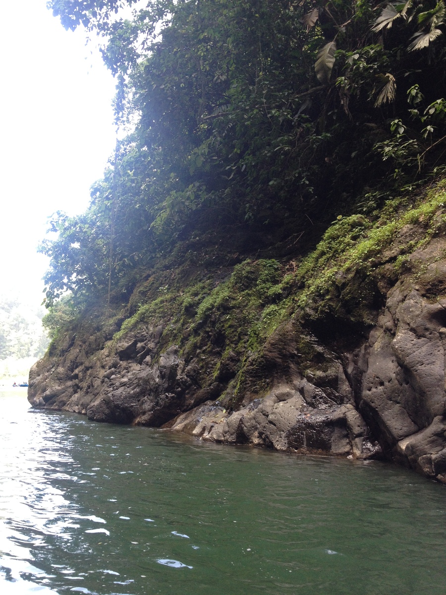 Picture Costa Rica Pacuare River 2015-03 154 - Hotel Pools Pacuare River