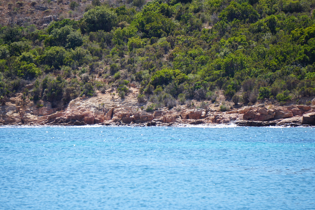 Picture France Corsica Rondinara Beach 2017-07 1 - Resort Rondinara Beach