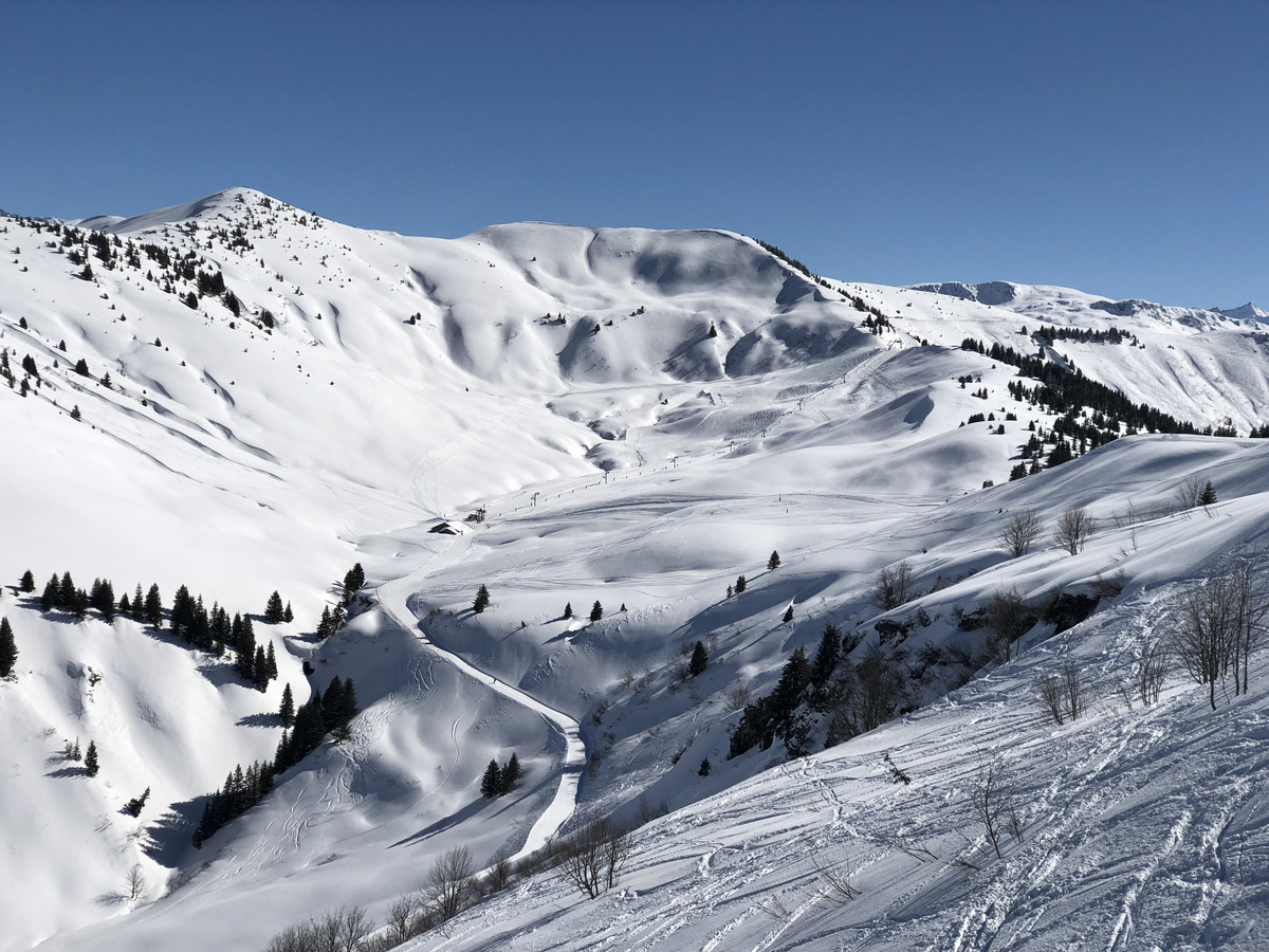 Picture France Megeve 2019-03 82 - Winter Megeve