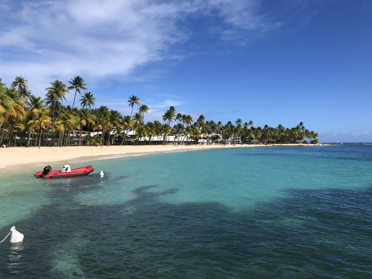 Picture Guadeloupe La Caravelle Beach 2021-02 67 - French Restaurant La Caravelle Beach