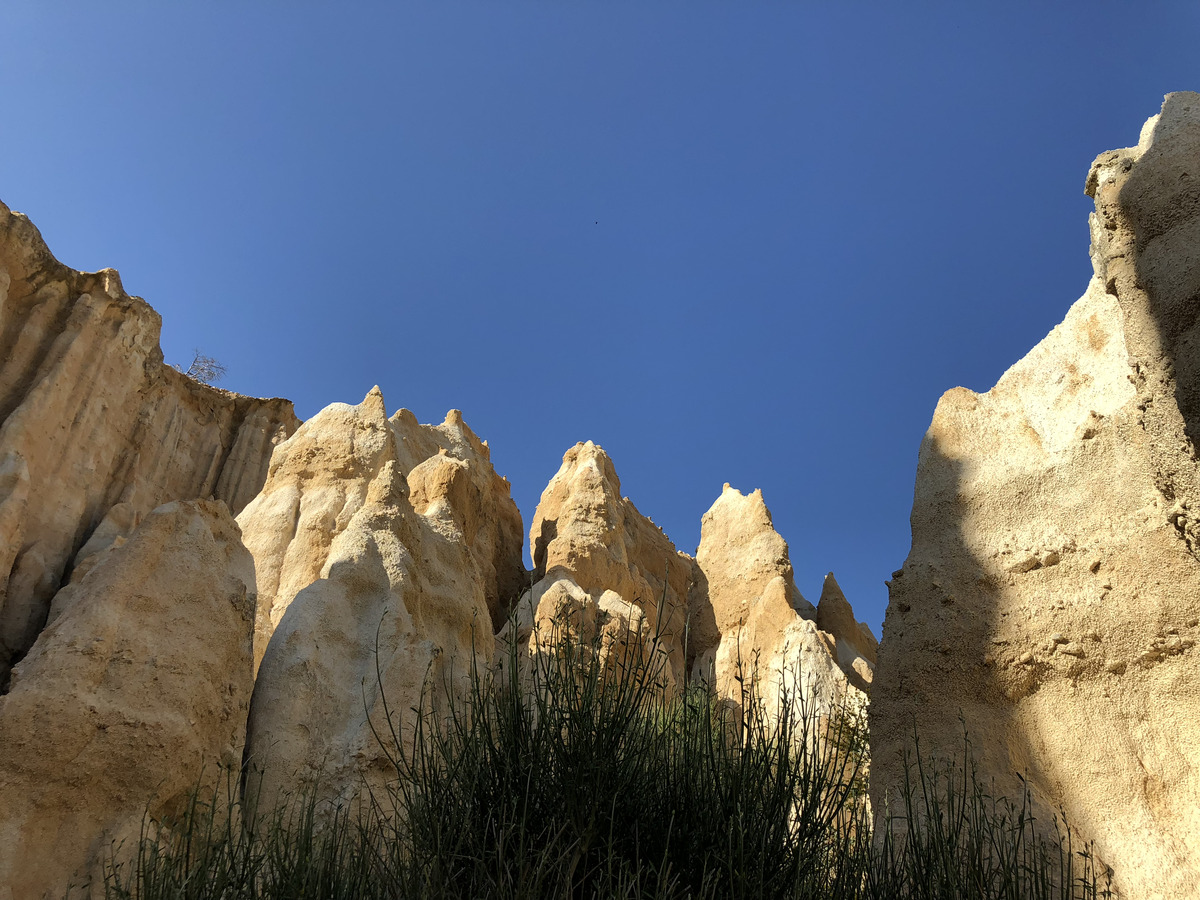 Picture France Orgues d'Ille Sur Tet 2018-04 76 - Monuments Orgues d'Ille Sur Tet