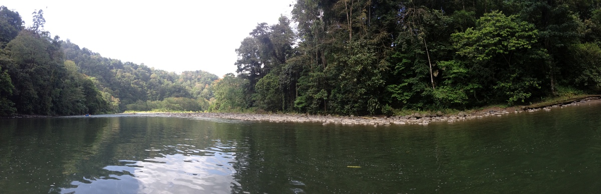 Picture Costa Rica Pacuare River 2015-03 219 - City Sights Pacuare River