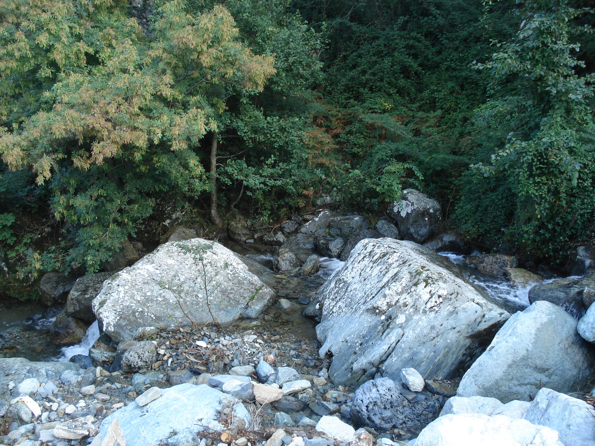 Picture France Corsica Valle d'alesani 2006-09 114 - Saving Valle d'alesani