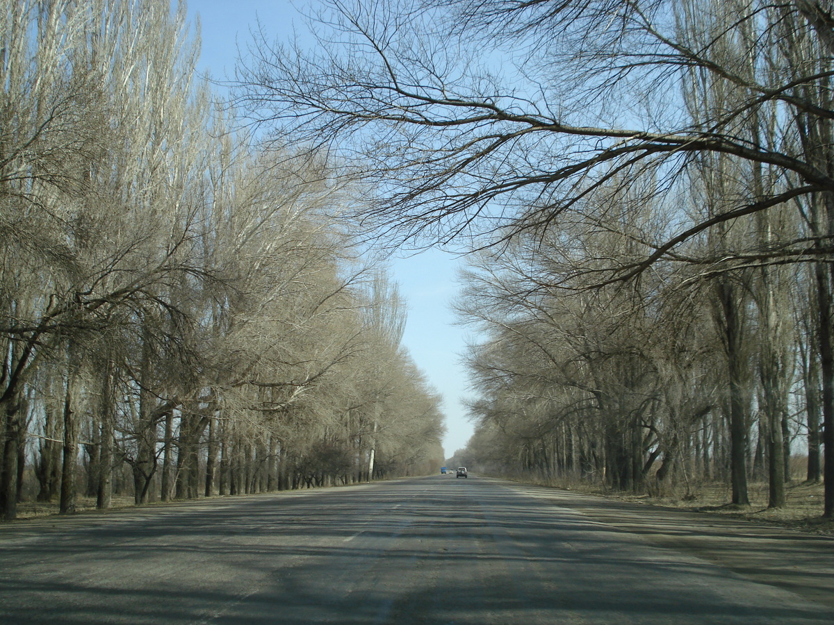 Picture Kazakhstan Almaty to Charyn Canyon road 2007-03 27 - Hotels Almaty to Charyn Canyon road