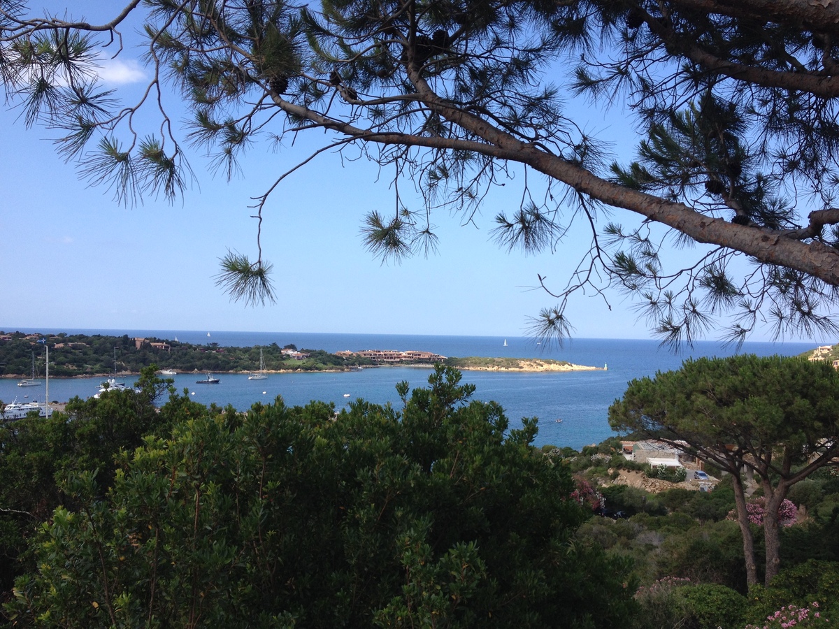 Picture Italy Sardinia Porto Cervo 2015-06 15 - Winter Porto Cervo