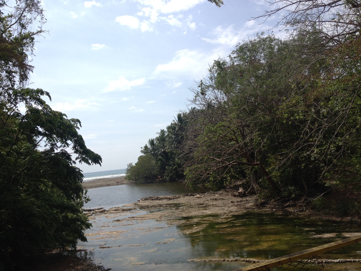 Picture Costa Rica Montezuma 2015-03 218 - Lake Montezuma