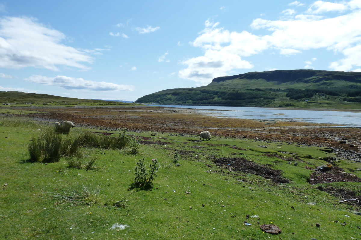 Picture United Kingdom Skye The Cullins 2011-07 31 - Cost The Cullins