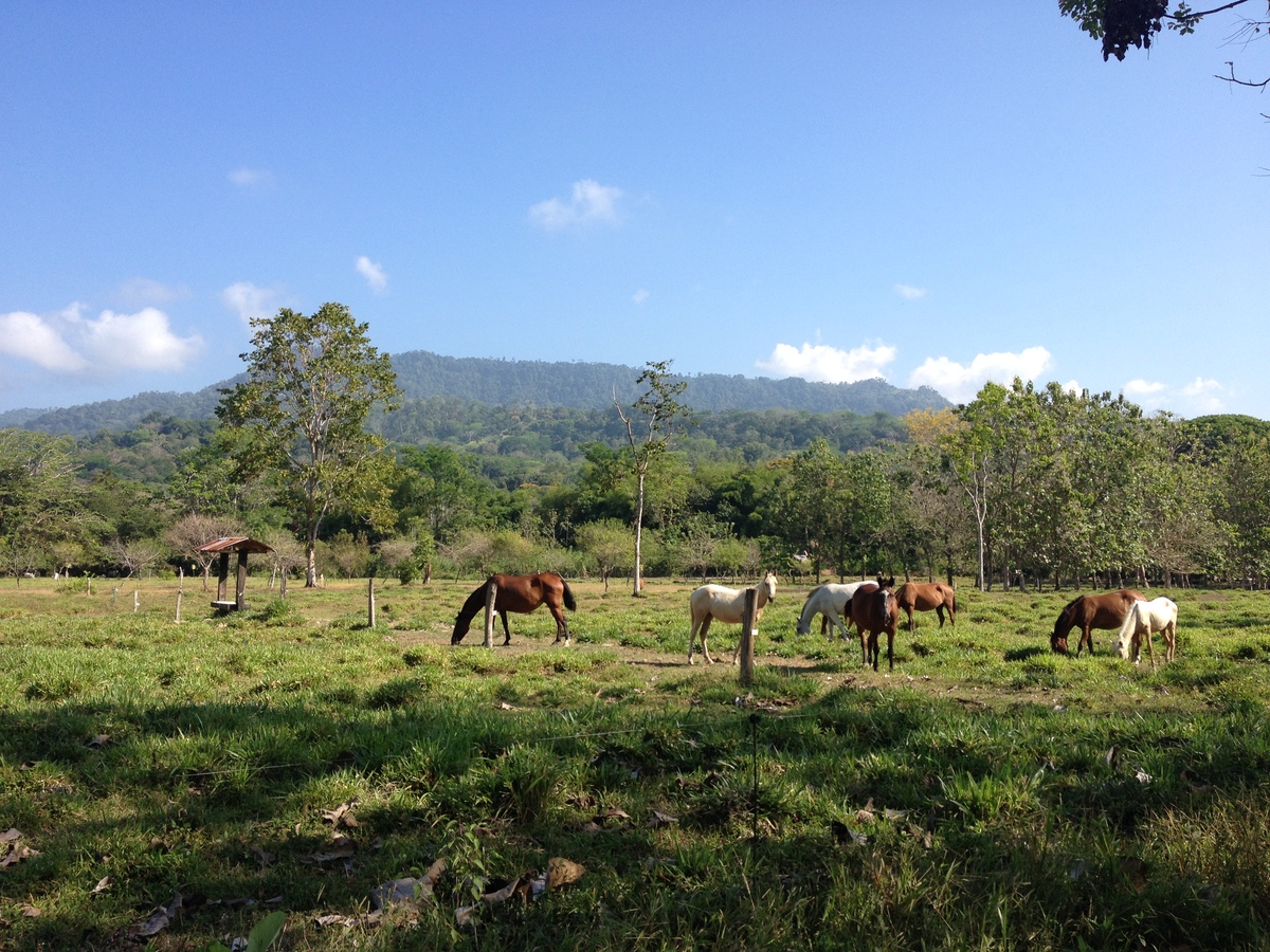 Picture Costa Rica 2015-03 15 - Rooms Costa Rica