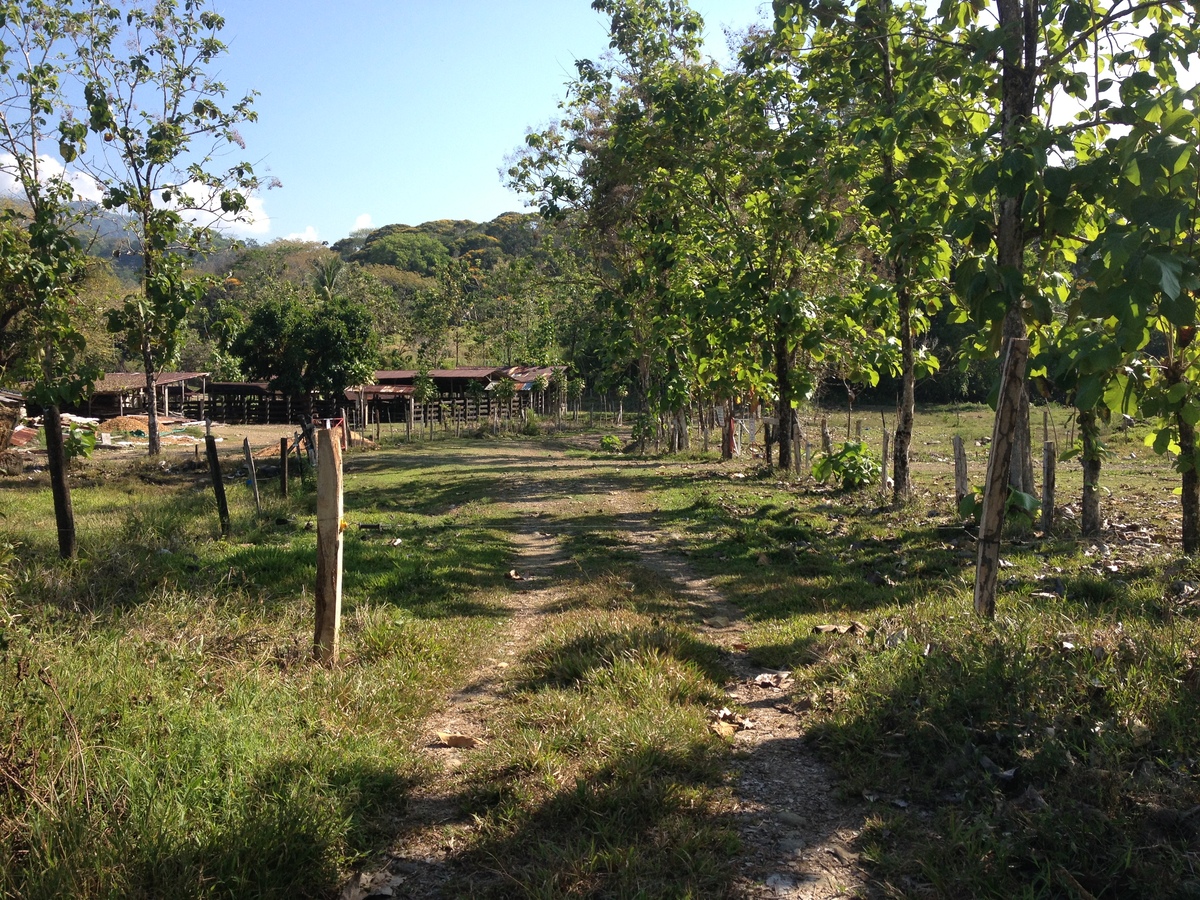 Picture Costa Rica Uvita 2015-03 1 - Room Uvita