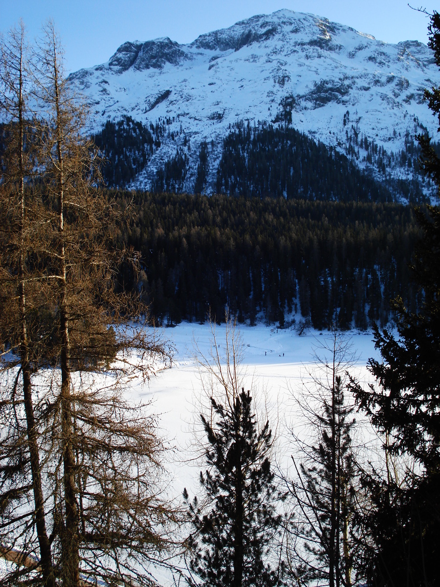 Picture Swiss St Moritz Schlarigna 2007-01 47 - Shopping St Moritz Schlarigna