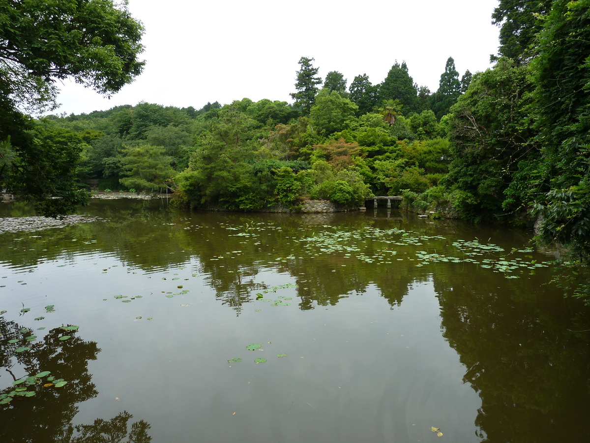 Picture Japan Kyoto Ryoanji Temple 2010-06 11 - Winter Ryoanji Temple