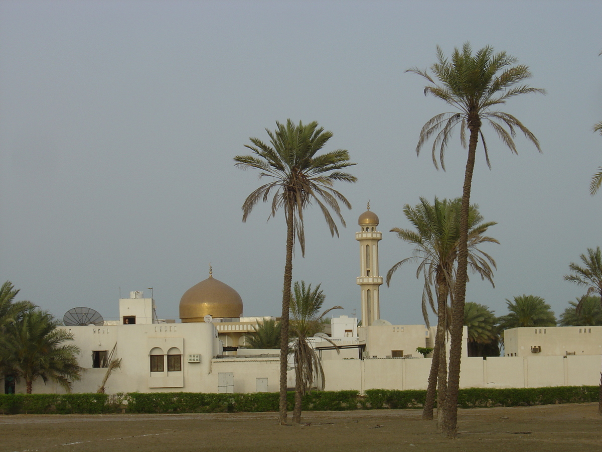 Picture Sultanate of Oman Sohar 2005-03 36 - Lake Sohar