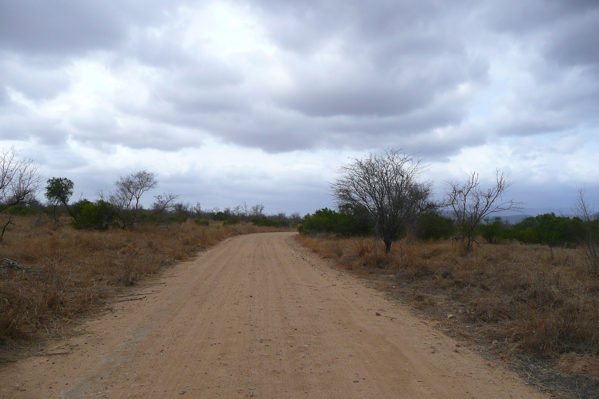 Picture South Africa Kruger National Park Crocodile River road 2008-09 46 - Shopping Crocodile River road