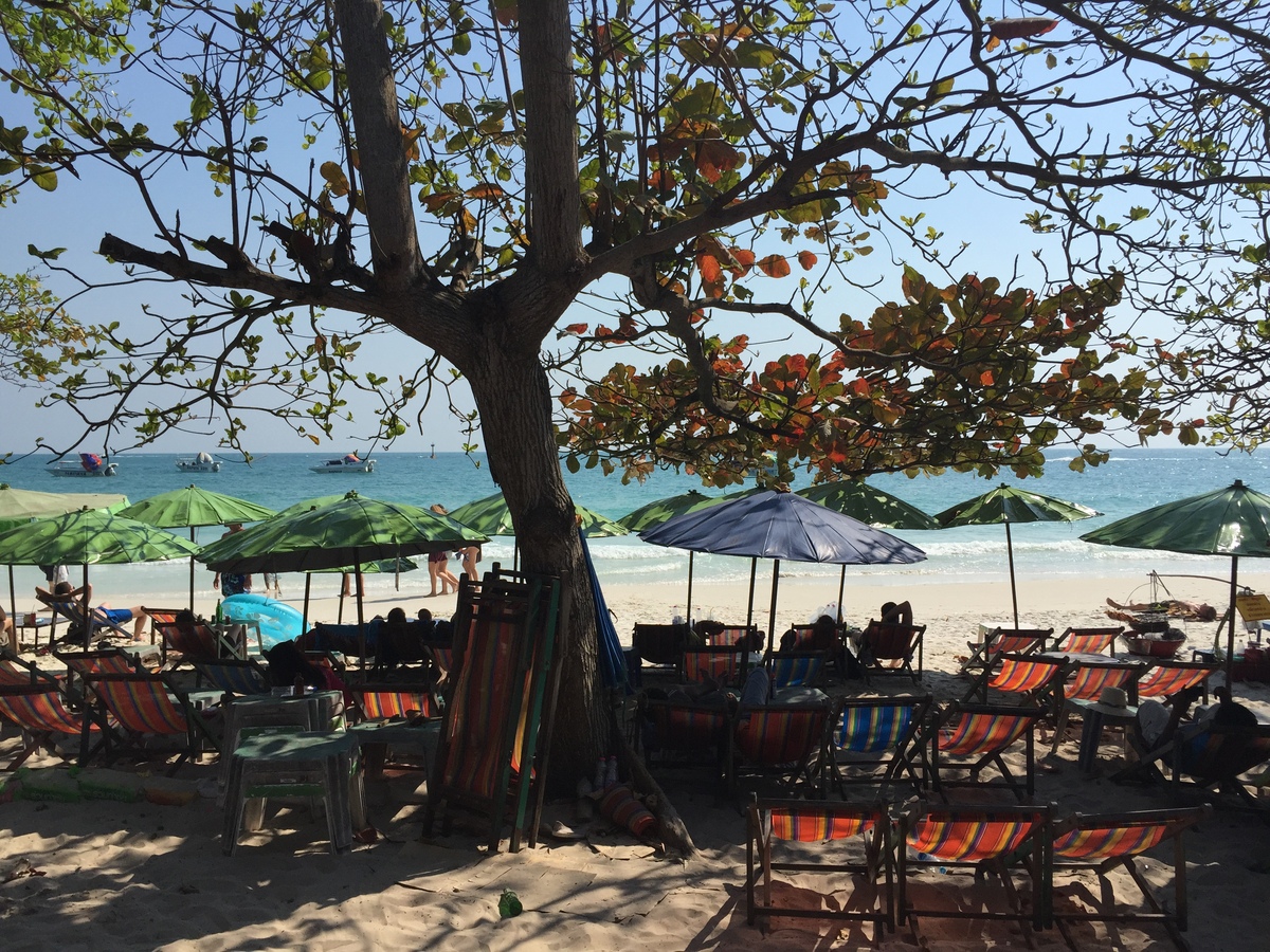 Picture Thailand Koh Samet 2016-01 43 - Hotel Pool Koh Samet