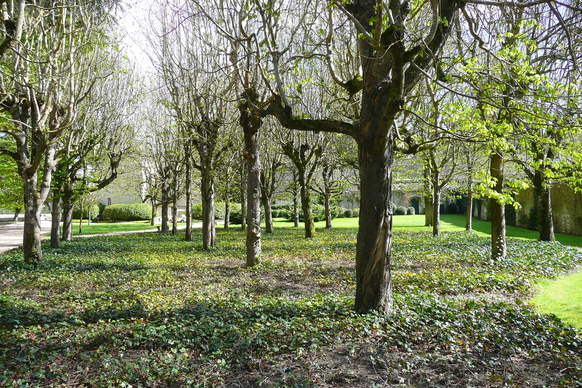 Picture France Chenonceau Castle Gardens of Chenonceau 2008-04 29 - Rental Gardens of Chenonceau