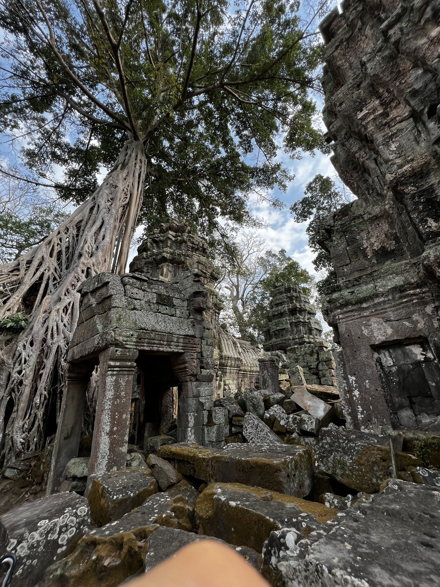 Picture Cambodia Siem Reap Ta Prohm 2023-01 114 - Rental Ta Prohm