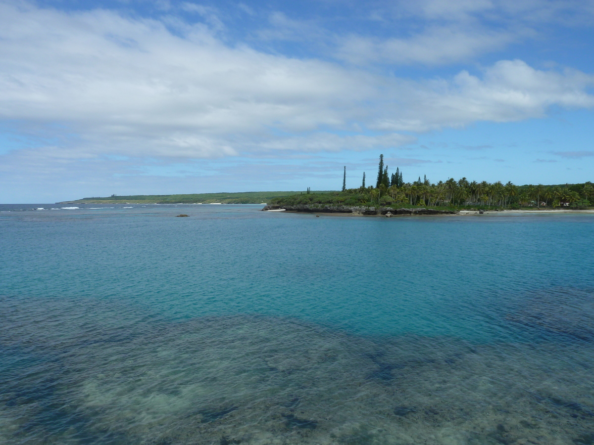 Picture New Caledonia Lifou Baie des tortues 2010-05 21 - Rental Baie des tortues