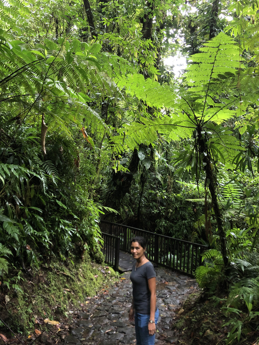 Picture Guadeloupe Carbet Falls 2021-02 37 - Price Carbet Falls