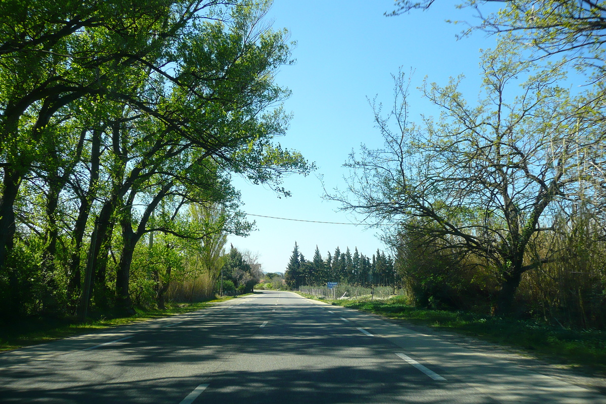 Picture France Provence Mouries to Baux de Provence road 2008-04 24 - Price Mouries to Baux de Provence road