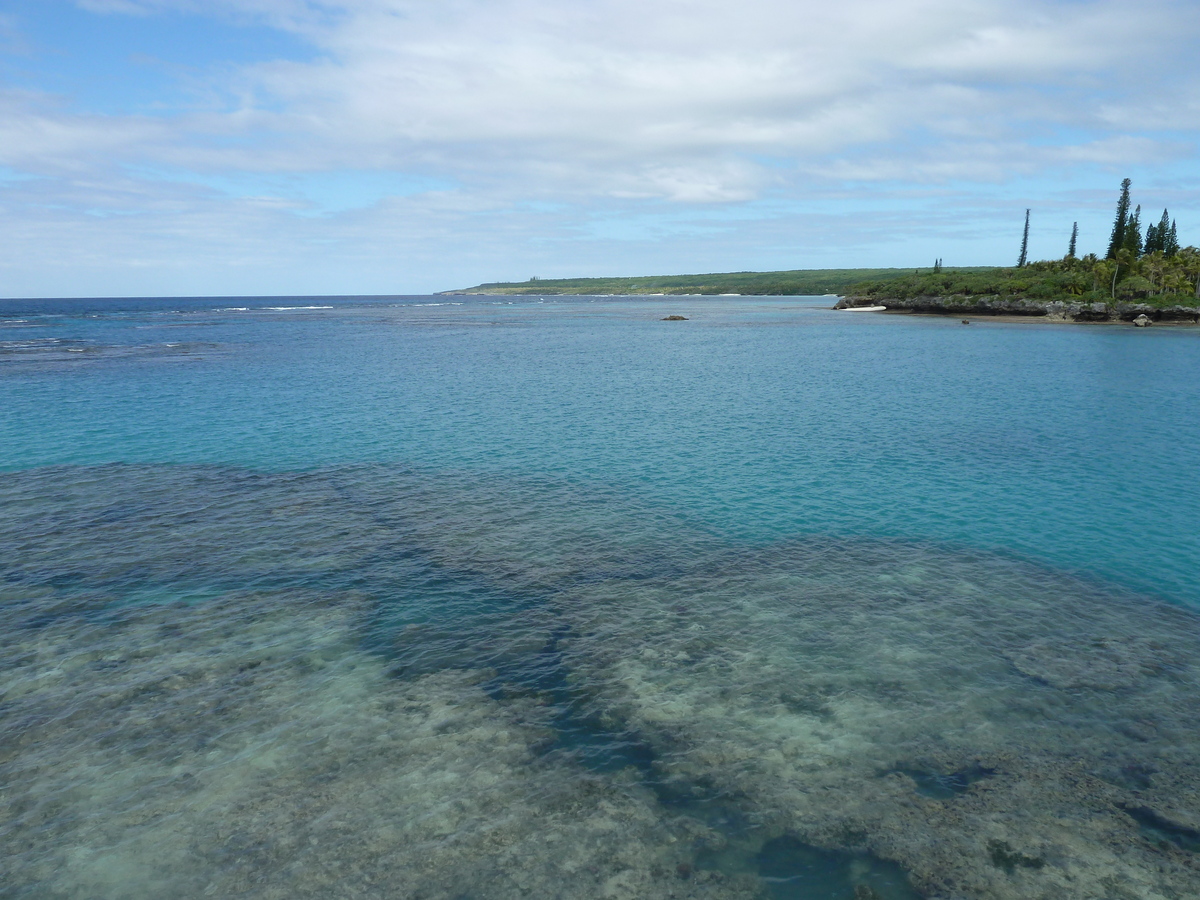 Picture New Caledonia 2010-05 67 - Rental New Caledonia