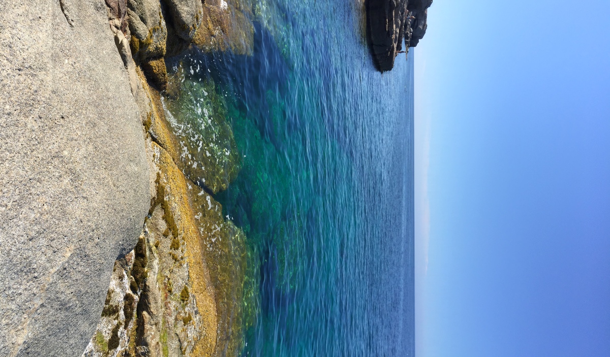 Picture France Corsica Calvi 2015-05 58 - Hotel Pool Calvi