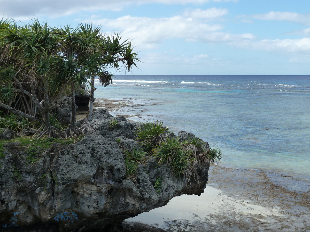 Picture New Caledonia Lifou Baie des tortues 2010-05 2 - Rooms Baie des tortues